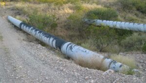 Amerikanske gassrør. (Illustrasjon: Steev Hise)