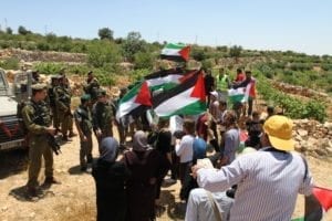 Palestinske demonstranter og IDF-soldater i Beit Ommar, juni 2011. (Illustrasjon: PSP Photos, flickr.com)