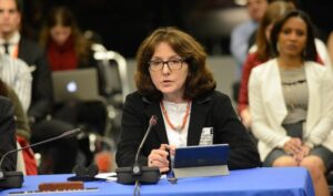 FN-ekspert Dubravka Simonovic antyder at det er Israels skyld at palestinske menn slår kvinnene sine. (Foto: Daniel Cima/Flickr)