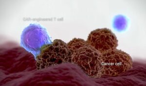 En illustrasjon av hvordan den nye kreftbehandlingen fungerer. (Foto: Skjemdump YouTube)