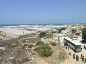 Israel etterlot seg store drivhus da de forlot Gaza, men istedenfor å dyrke tomater valgte Hamas å bruke dem som treningsleir for terrorister.